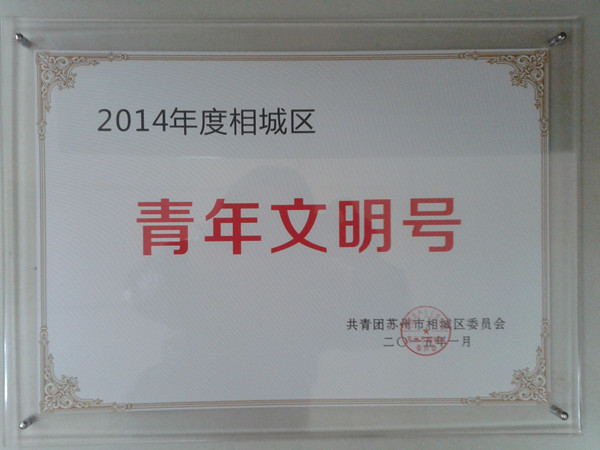 我司团委被授予青年文明号称号